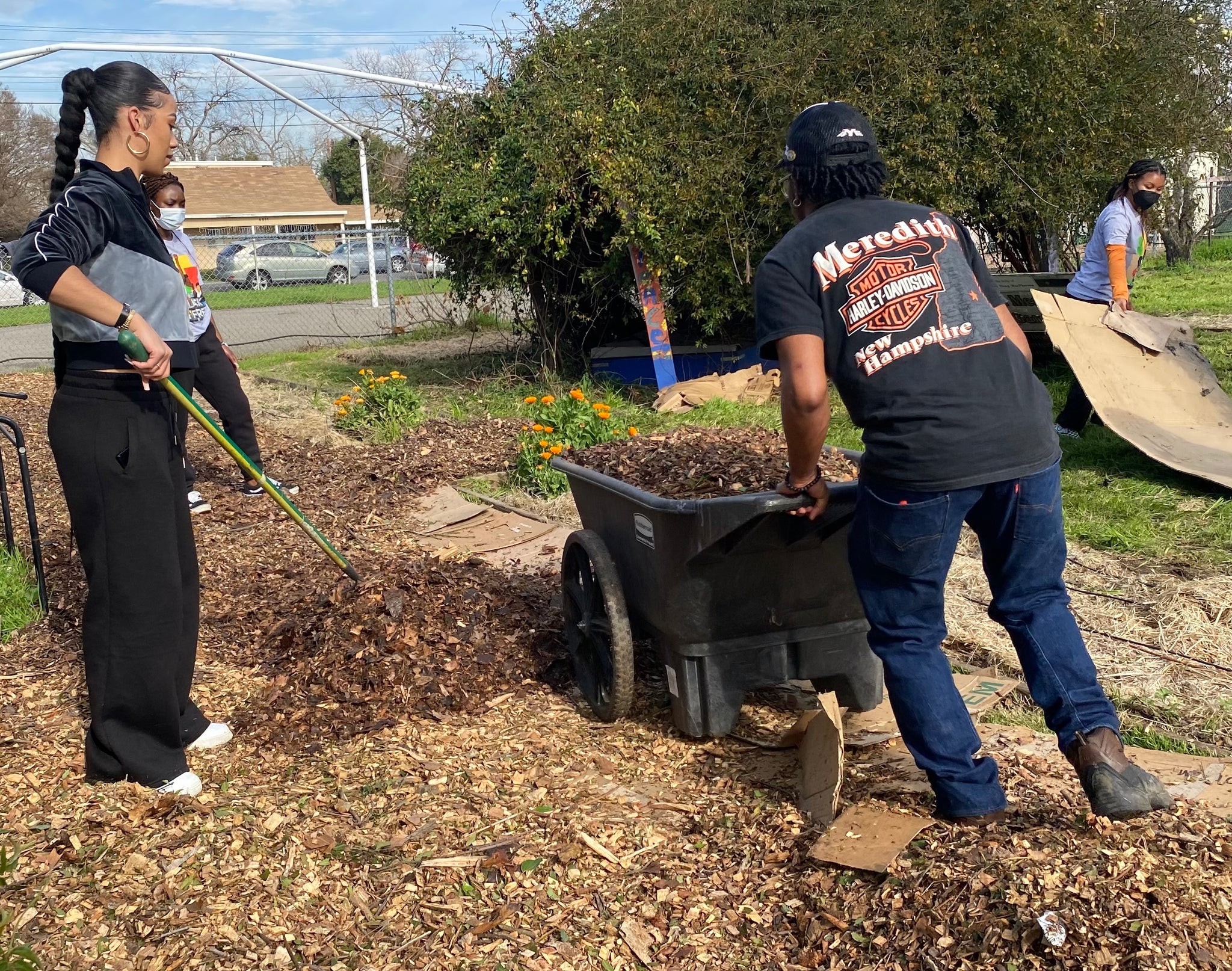 Sheet Mulching: A Garden Hack For Healthy Soil