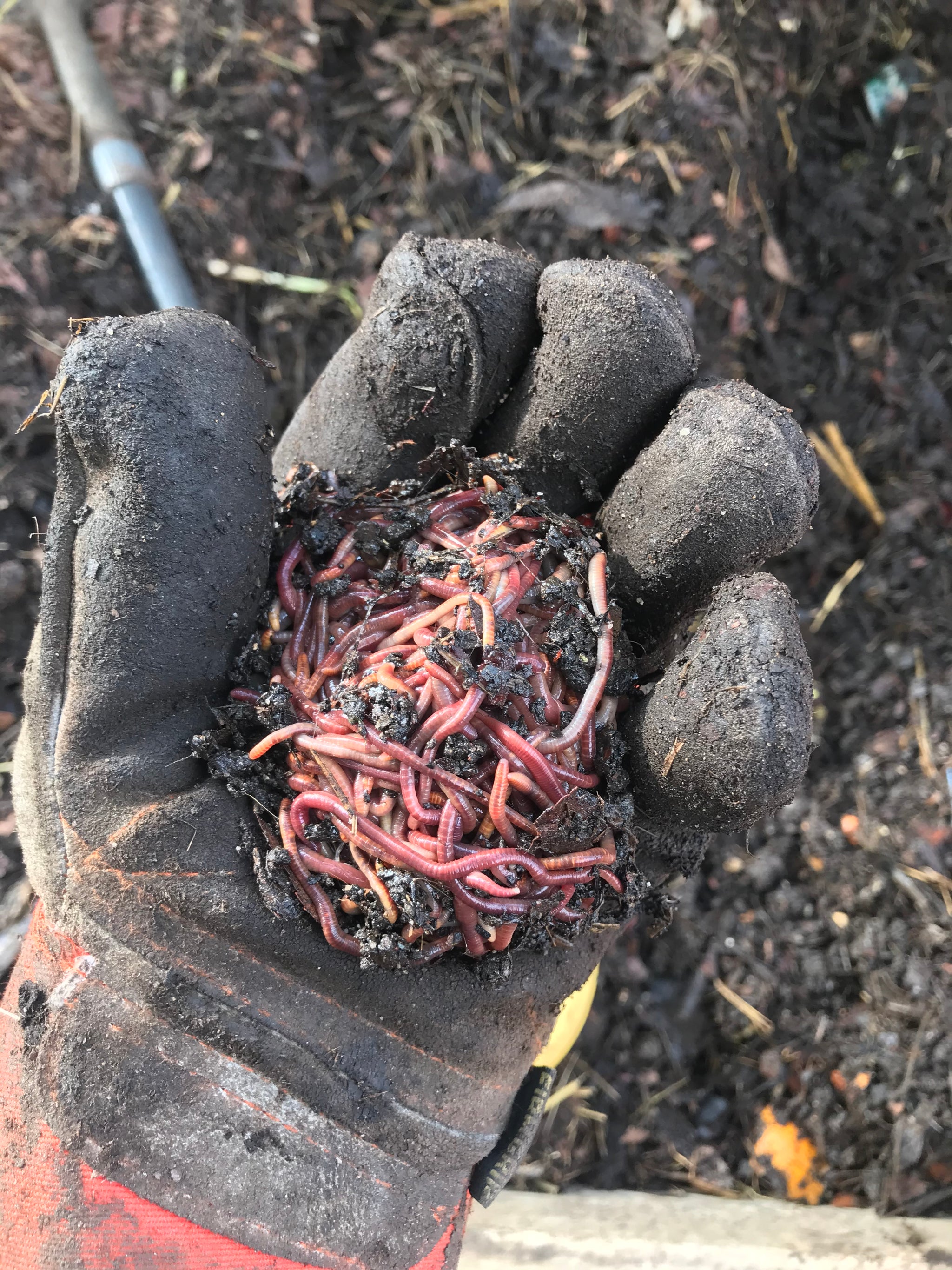 The FBI Is Always In Our Business!