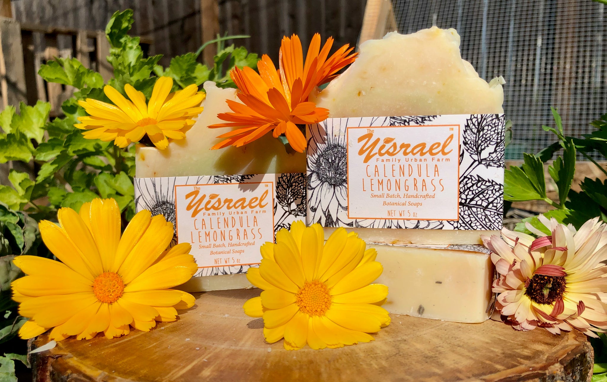 Benefits of Calendula + Lemongrass for Skin