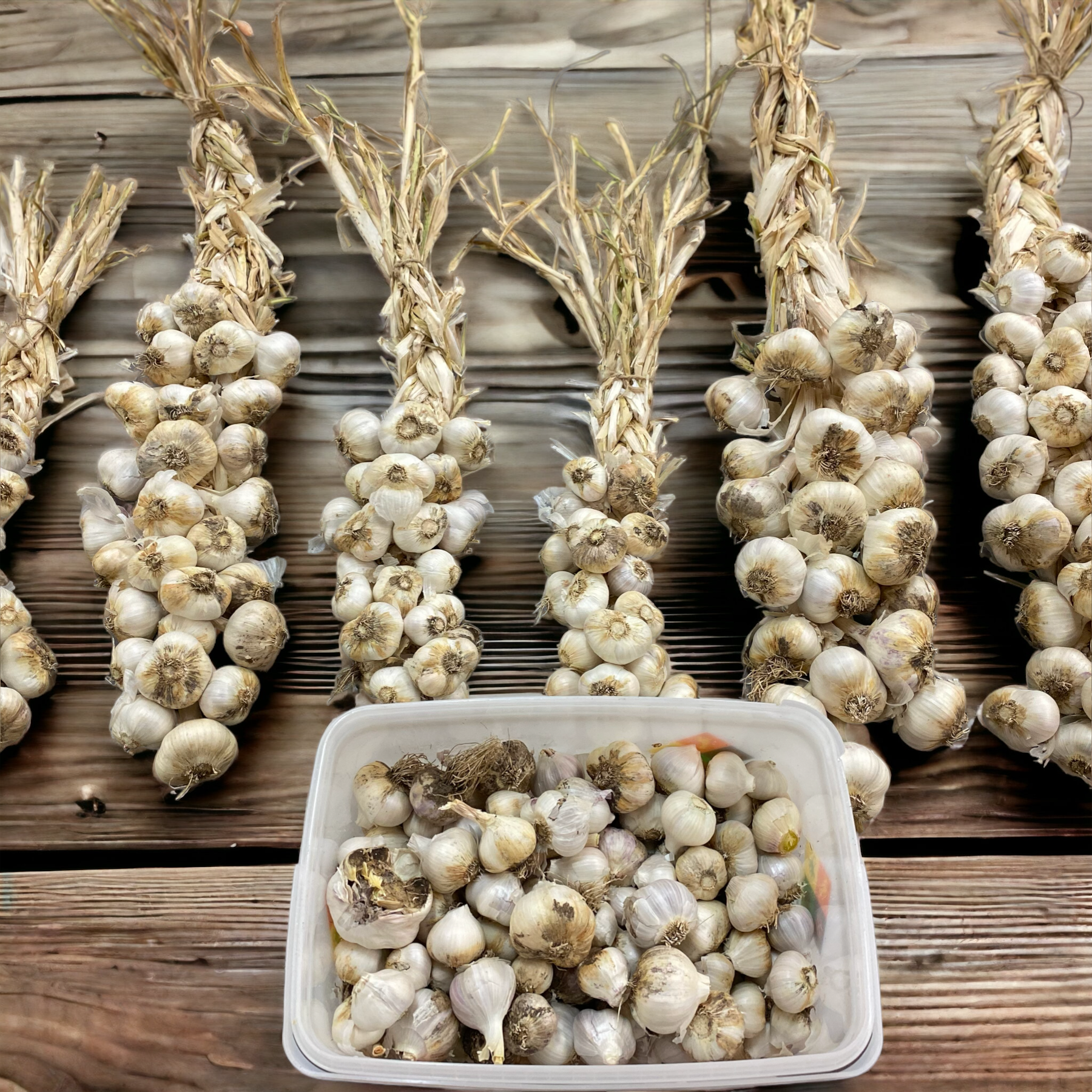 Plant Once, Harvest Forever!