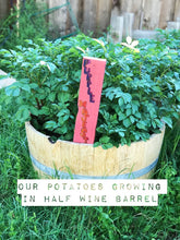 Load image into Gallery viewer, Reclaimed Half Barrel Planters