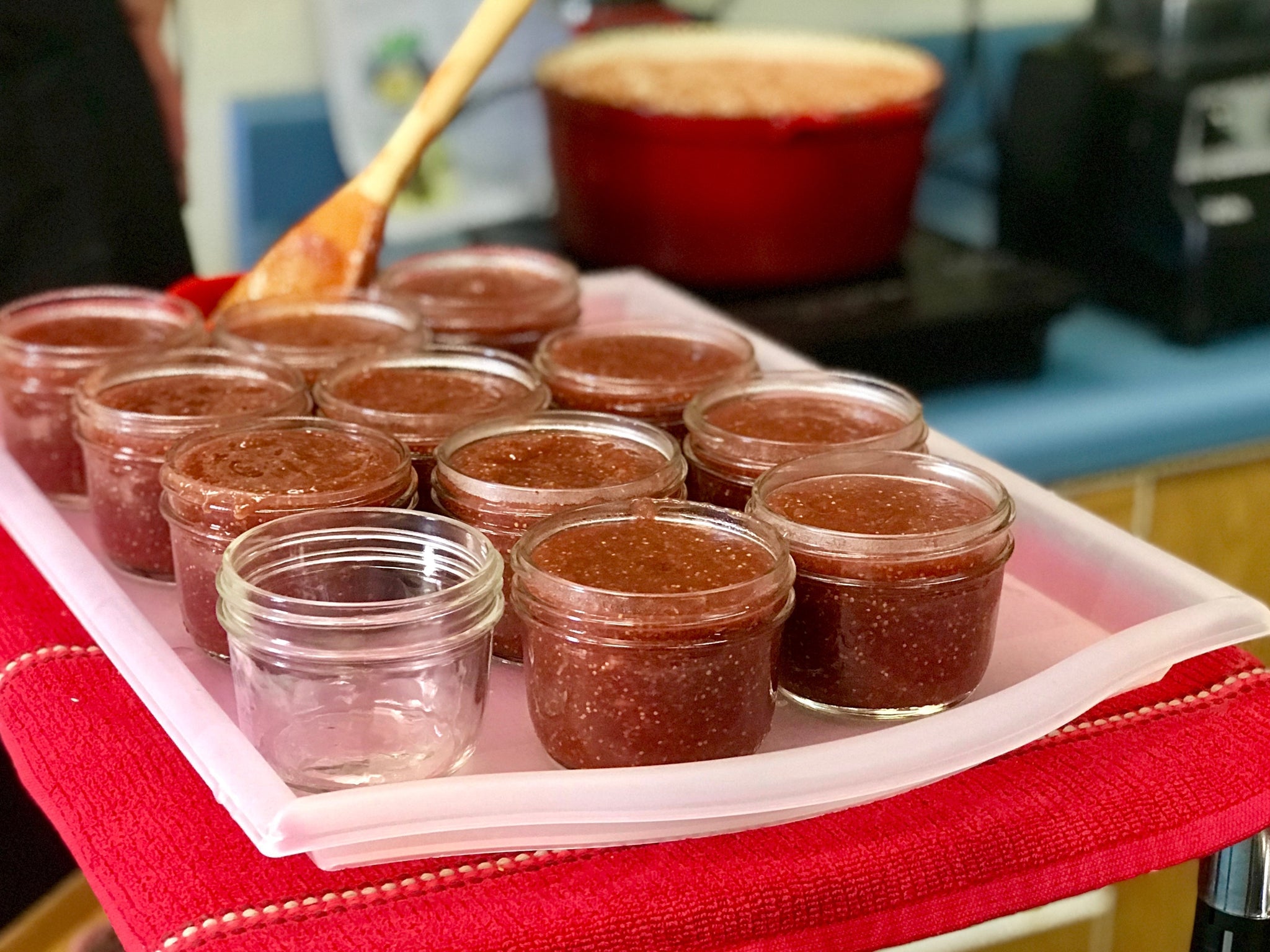 Preserving Summer: Carrying the Season Forward
