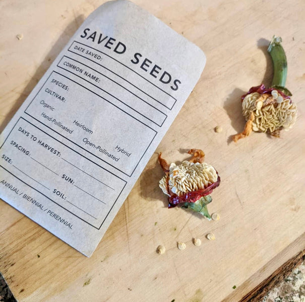 The Cultural Legacy of Seeds