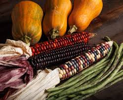 Food Sovereignty, Gratitude, and the Indigenous Roots of Thanksgiving