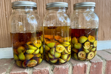 Load image into Gallery viewer, Black Walnut Tincture