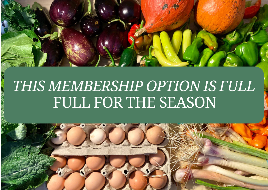 Liberated Harvest CSA - Weekly (MEMBERSHIP FULL)