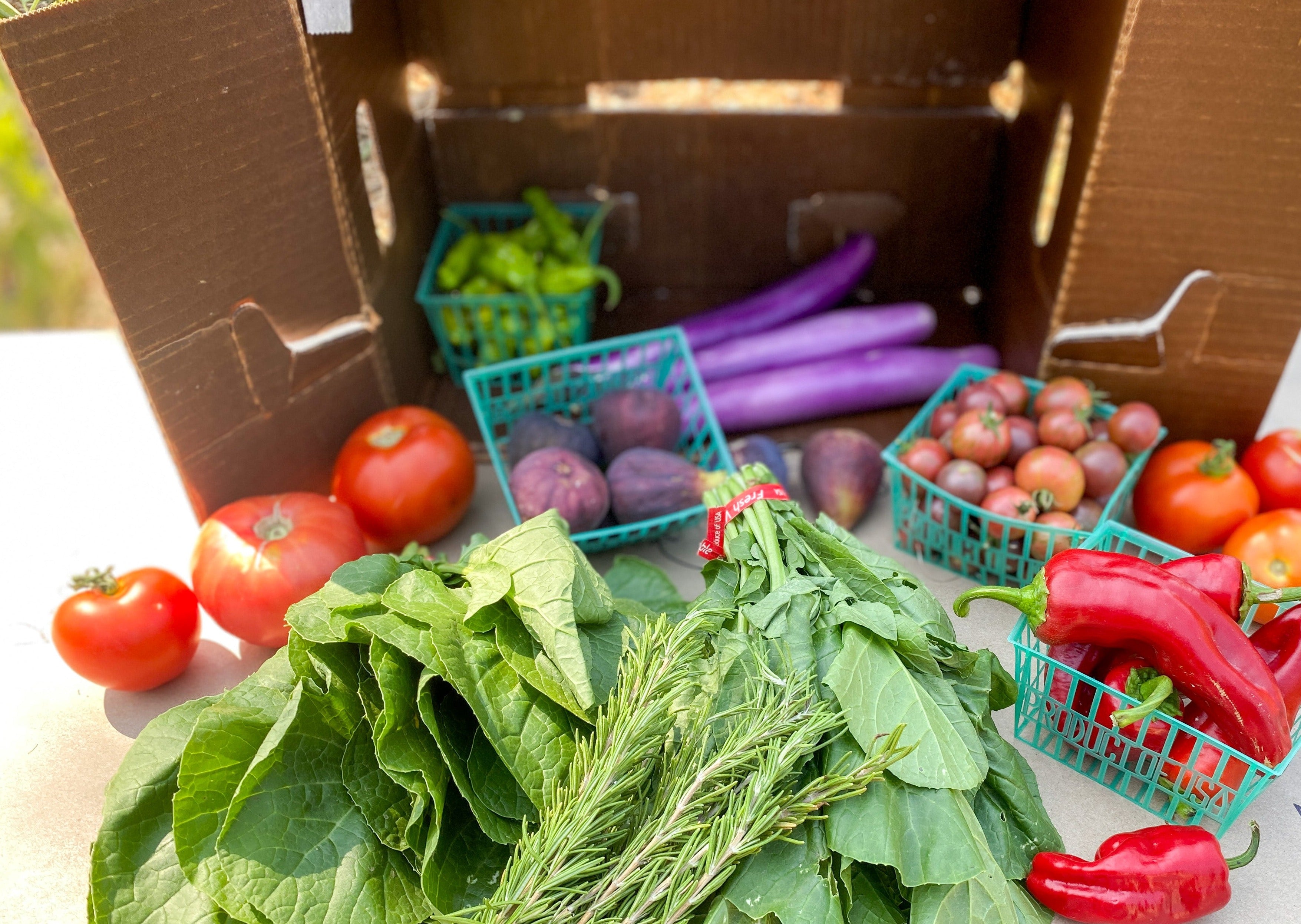 Bi-weekly Liberation Harvest Produce Box Subscription - See description