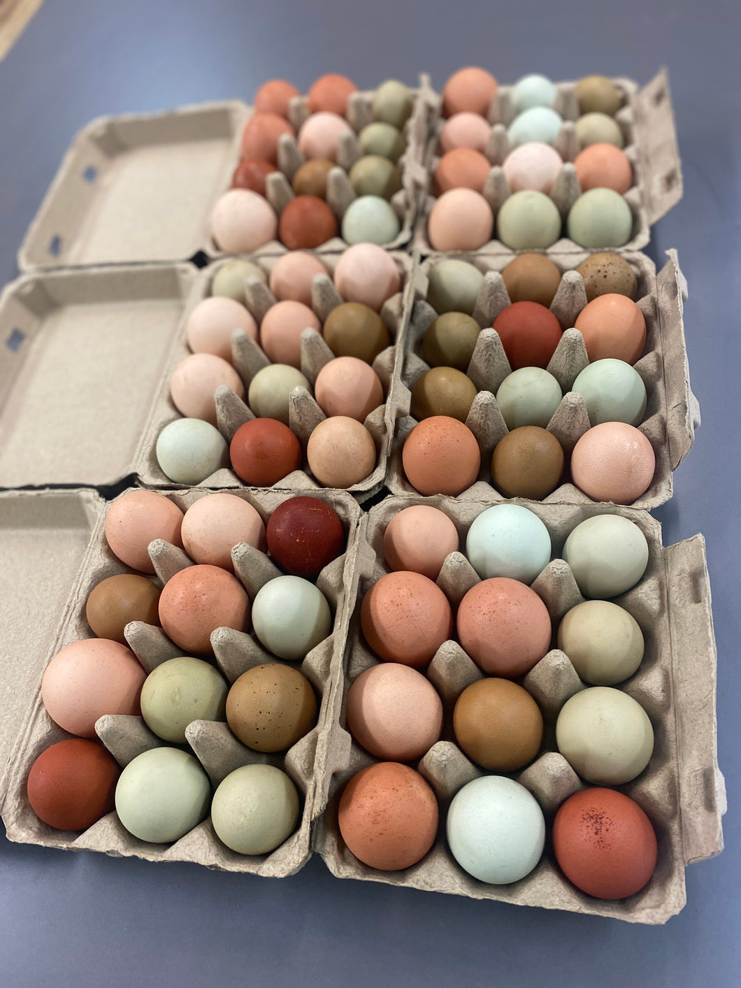 Pasture Raised Eggs - Flat *WS* Subscription