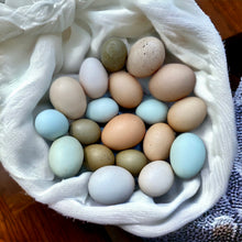 Load image into Gallery viewer, Free Range Eggs - (Subscription Only) *pre approval required*