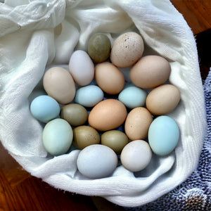 Free Range Eggs - (Subscription Only) *pre approval required*