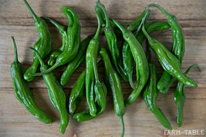 Peppers - Shishito