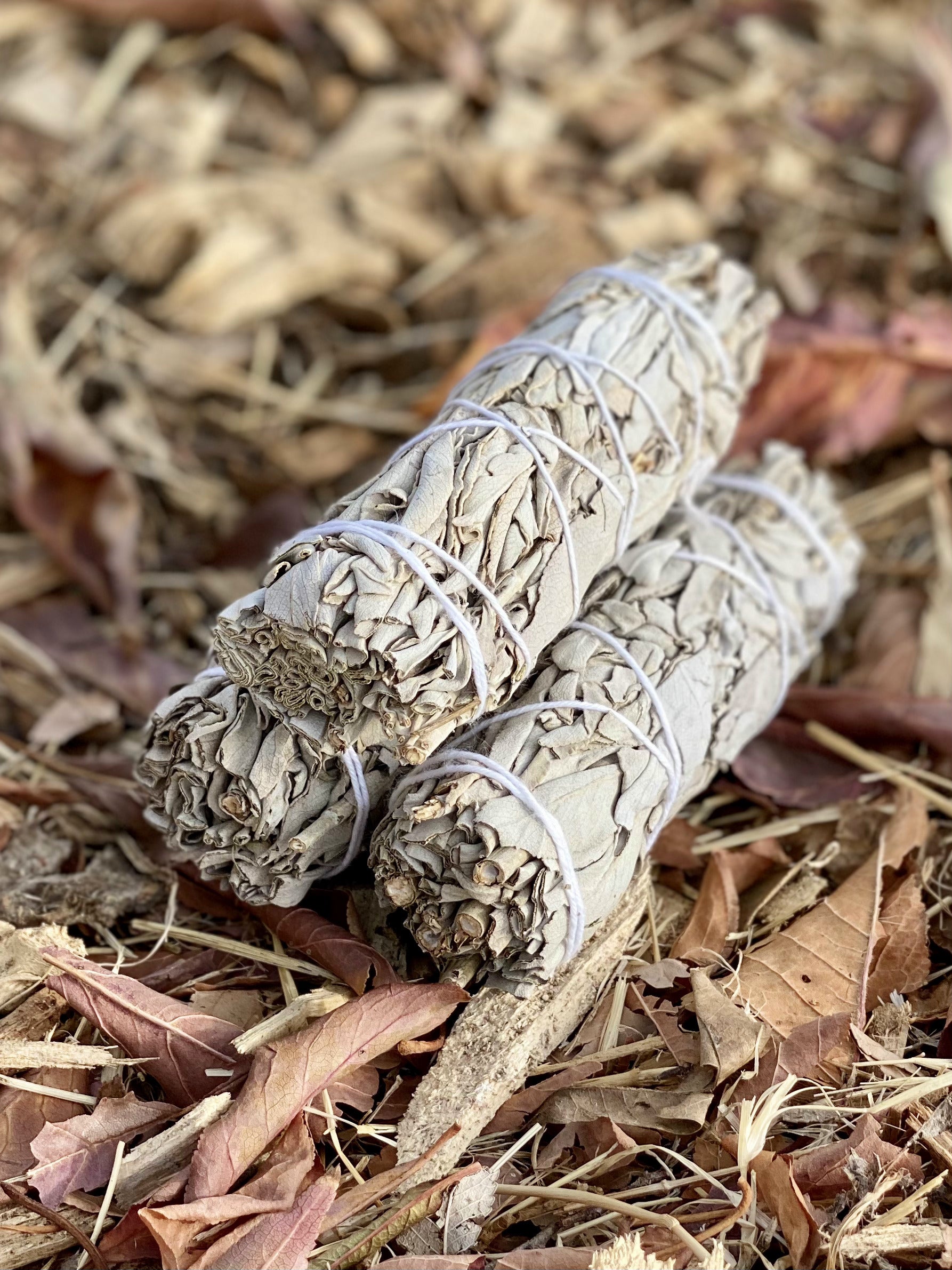 White Sage Smudge