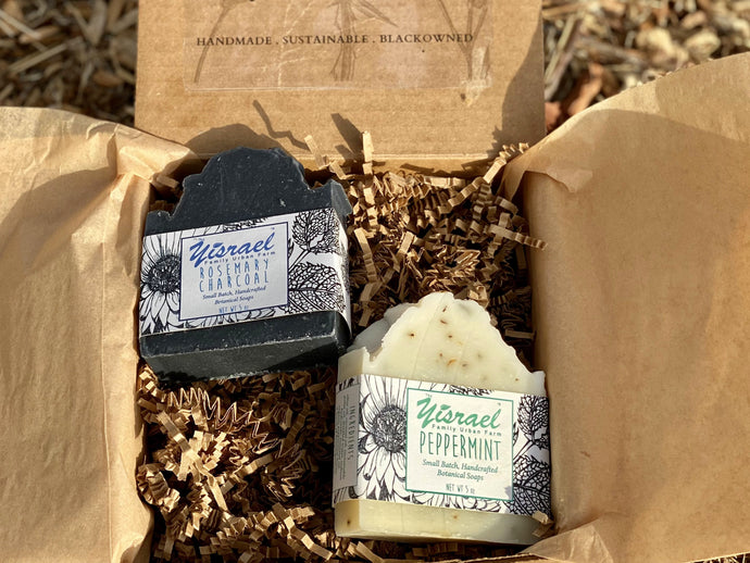 Soap Box Subscription - Two Bars (Gifts)
