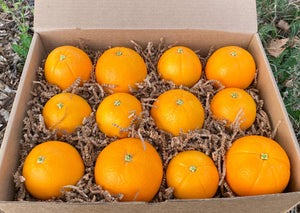 Organically Grown Oranges