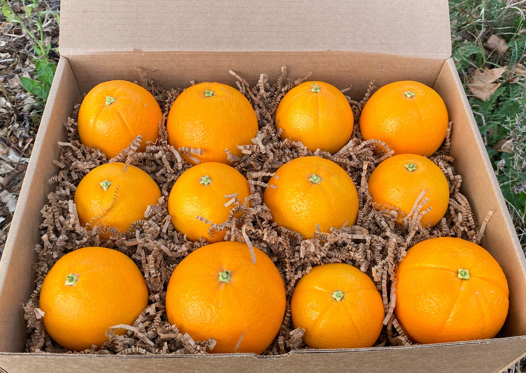 Organically Grown Oranges