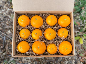 Organically Grown Oranges