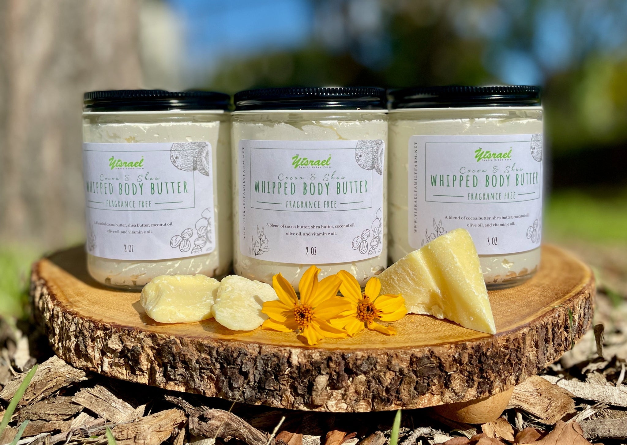 Cocoa + Shea Whipped Body Butter - Fragrance Free – Yisrael Family Urban  Farm
