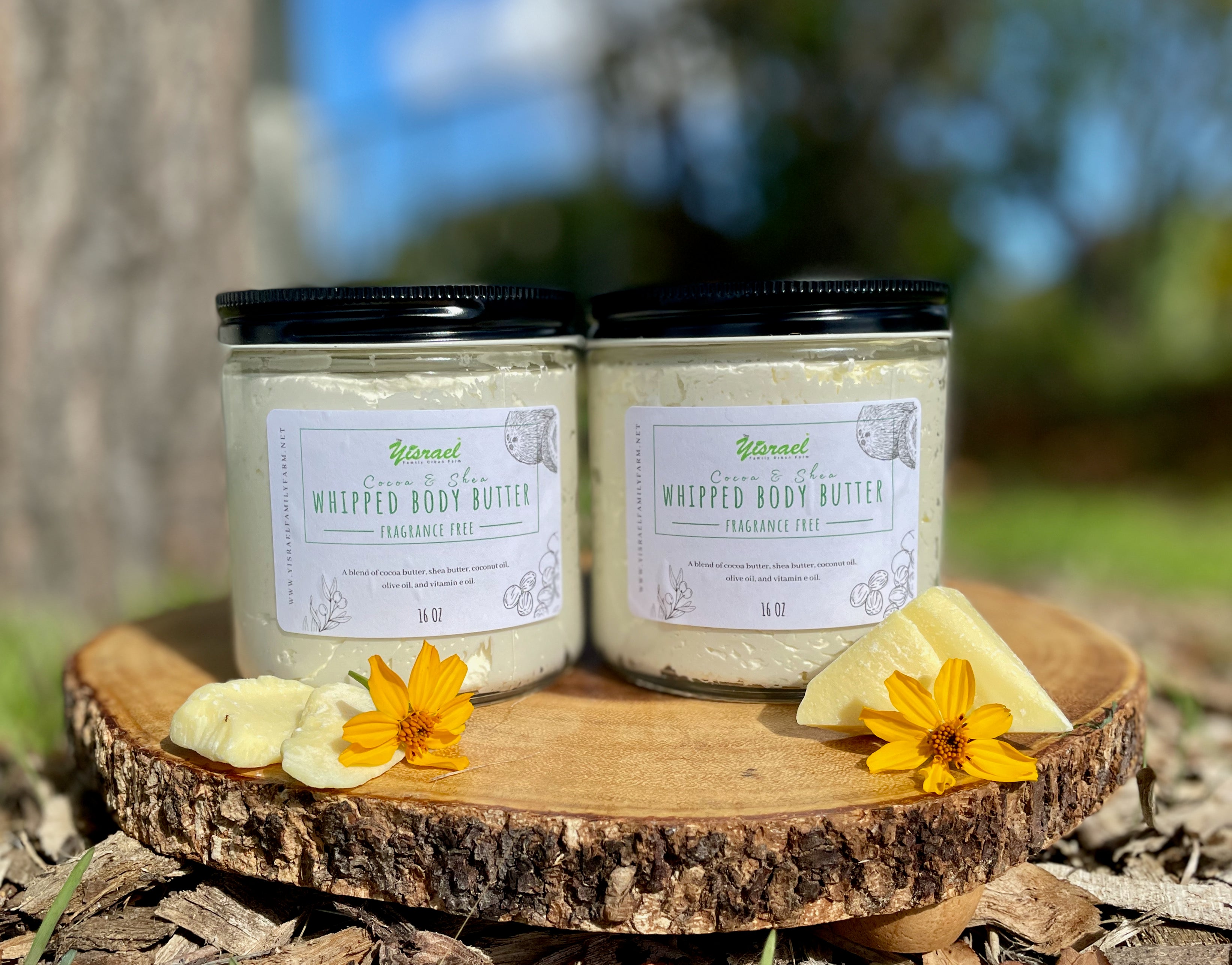 Cocoa + Shea Whipped Body Butter - Fragrance Free