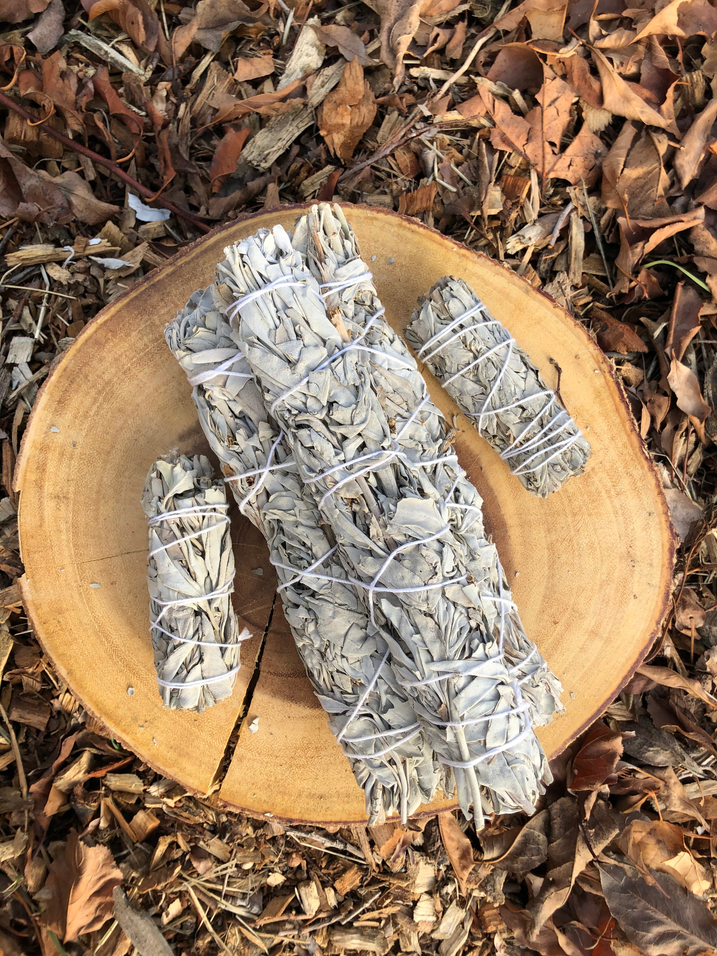 White Sage Smudge