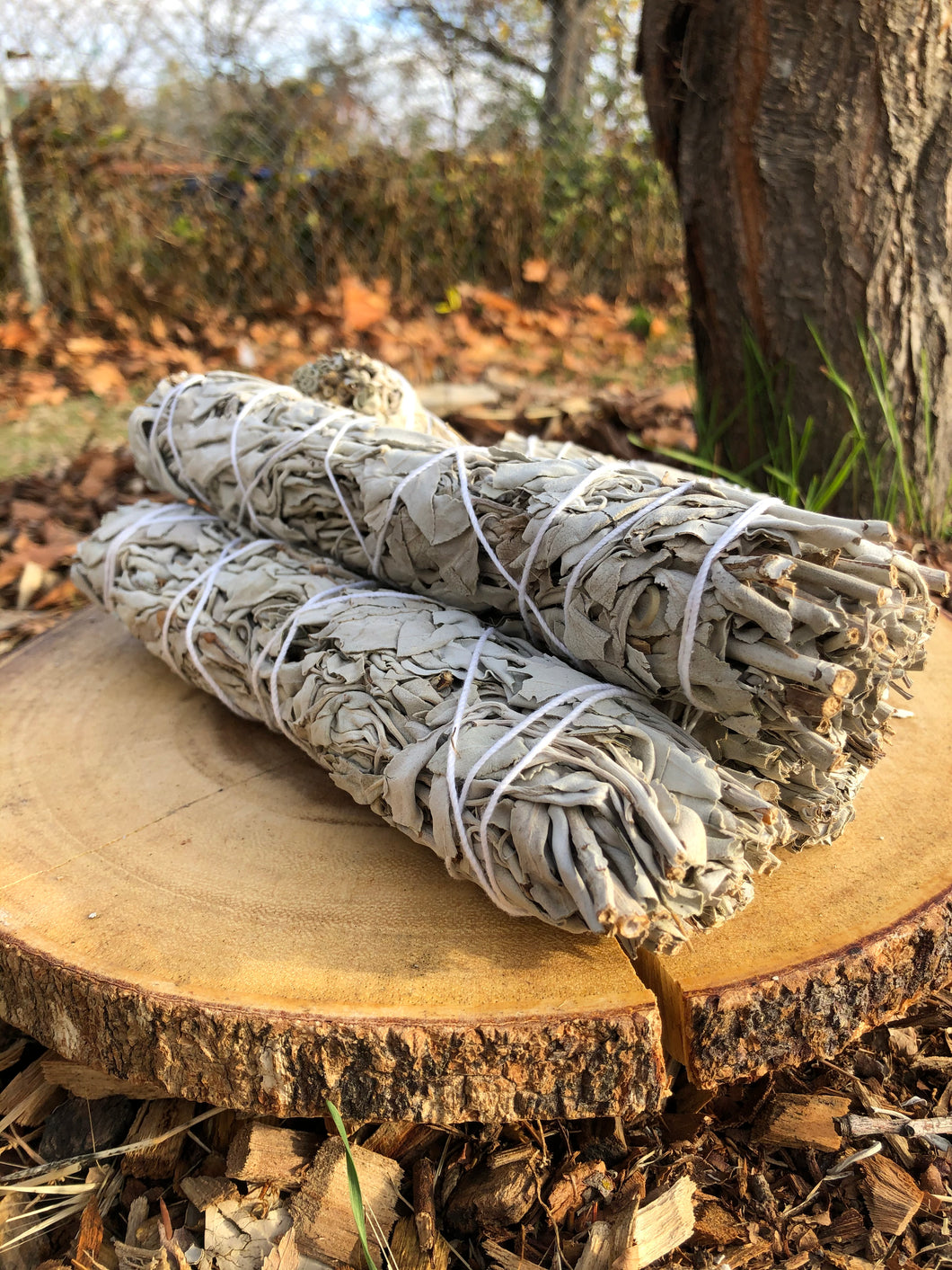 White Sage Smudge