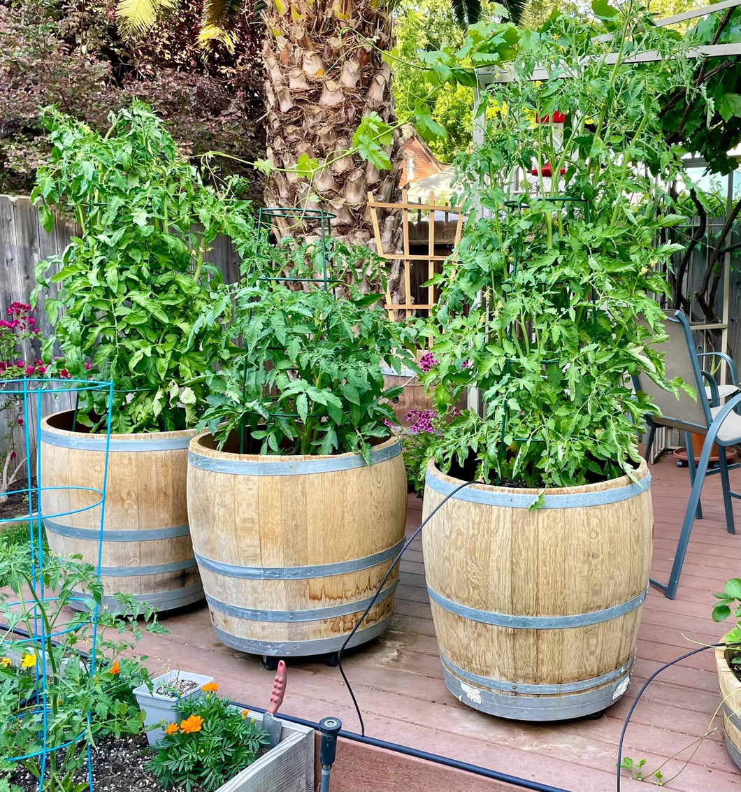 Reclaimed Half Barrel Planters