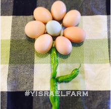 Load image into Gallery viewer, Organic Free Range Eggs - (Local Pickup Only)