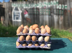 Organic Free Range Eggs - (Local Pickup Only)