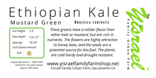 Load image into Gallery viewer, Ethiopian Kale (Seeds)