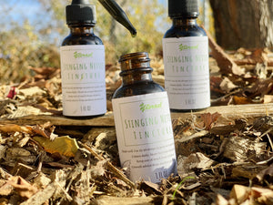 Stinging Nettle Tincture